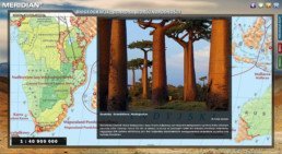 Biogeografia - Ochrona bioróżnorodności - Baobaby